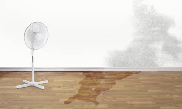 Best Flood restoration services  in Bellevue, OH