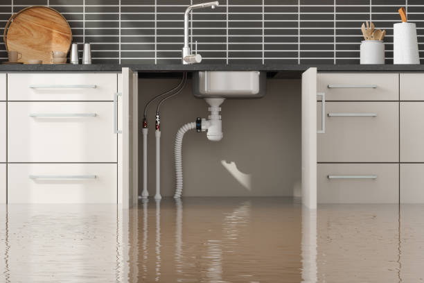 Best Carpet water damage restoration  in Bellevue, OH
